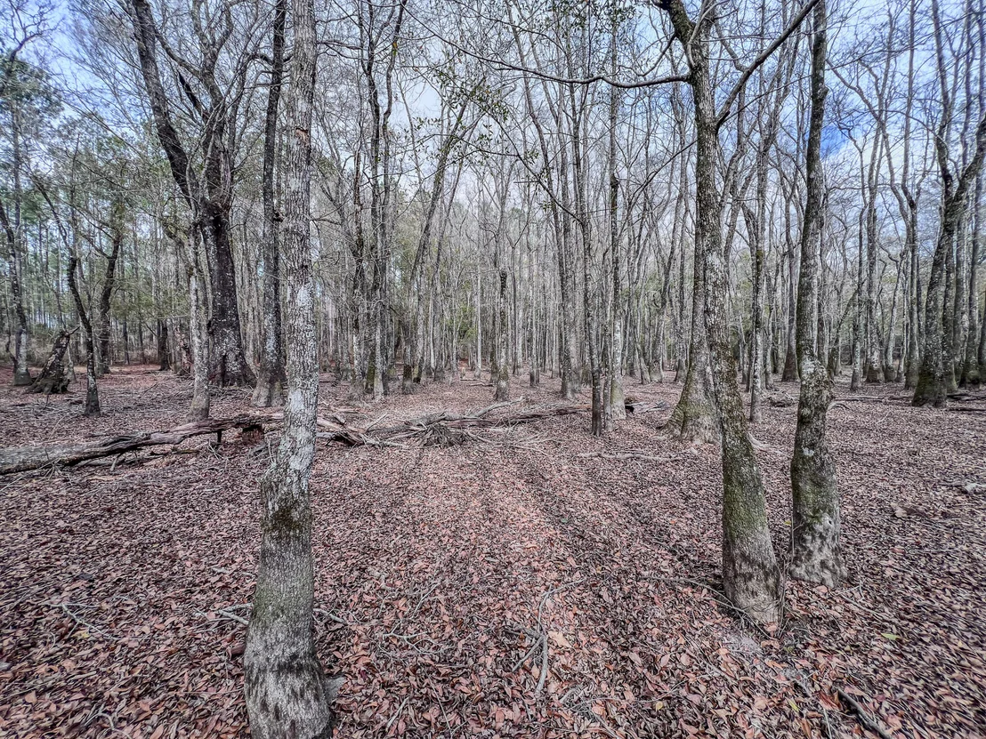 Photo of 4769 DAVIS RD