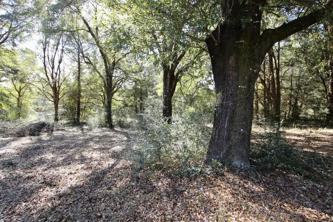 Photo of 7720 Clary Road