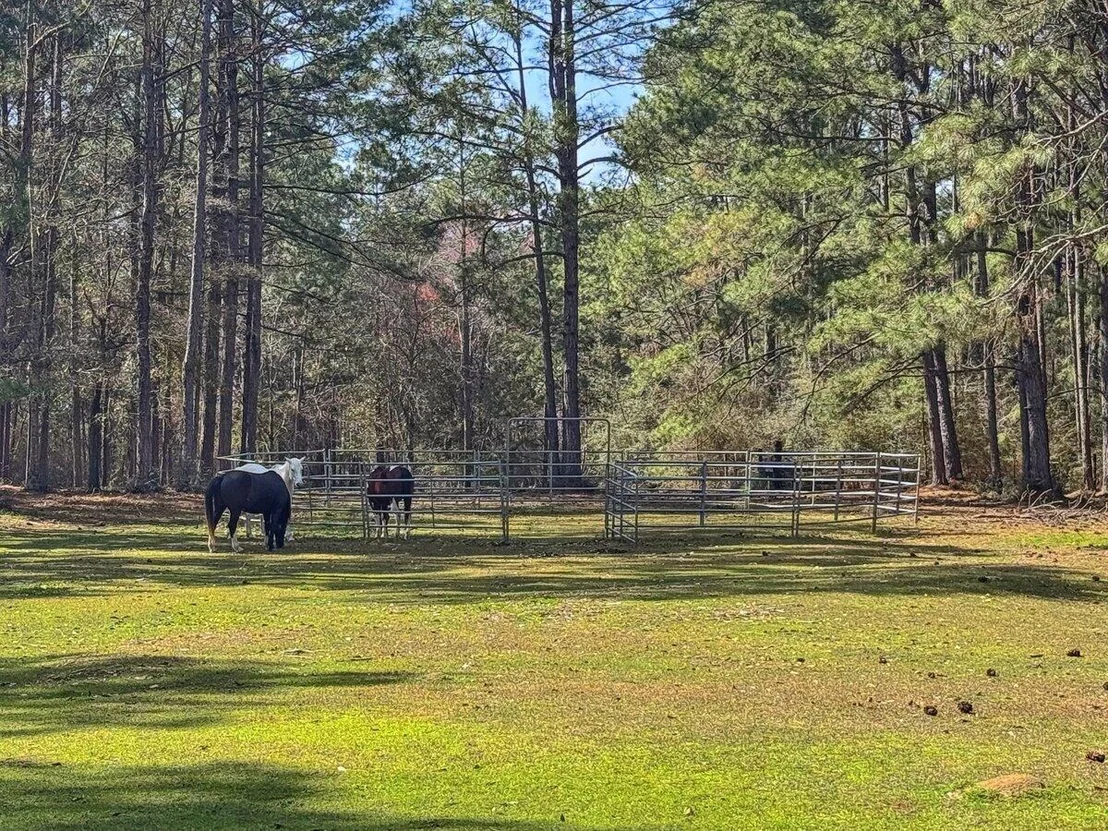 Photo of 1471 Hwy C 180
