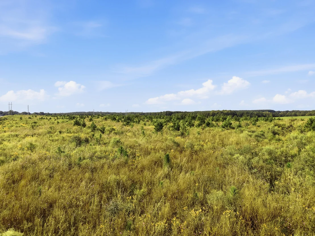 Photo of 10 Acres I Davidson Road