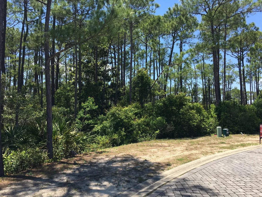Photo of LOT 28 Shelley's Way