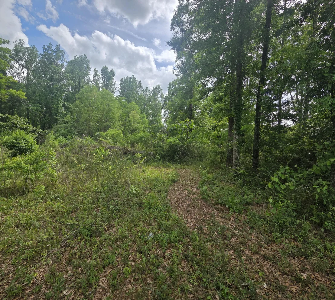 Photo of 2000 Molino Road