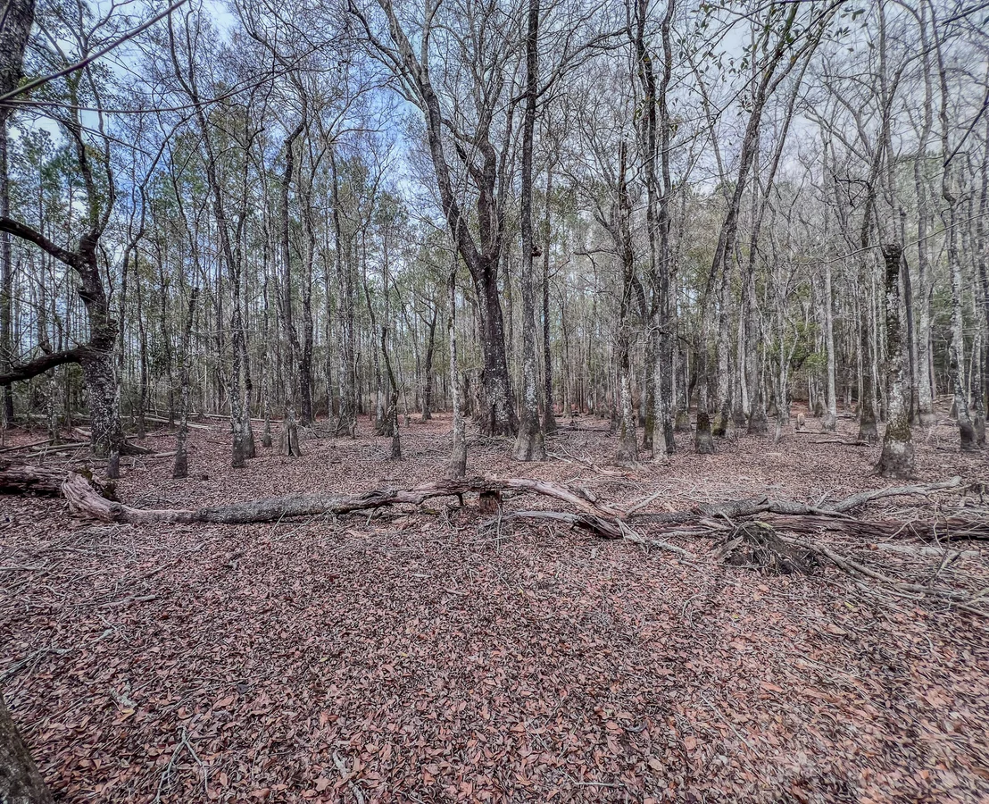 Photo of 4769 DAVIS RD