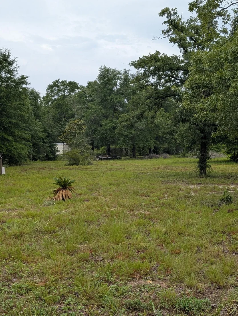 Photo of Lot 21 Co Highway 1087
