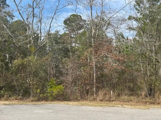 Photo of Lot 76 Harbour Trace