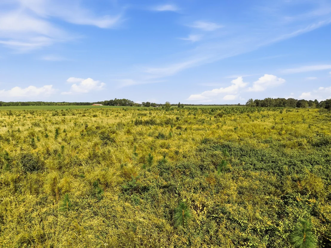 Photo of 10 Acres I Davidson Road