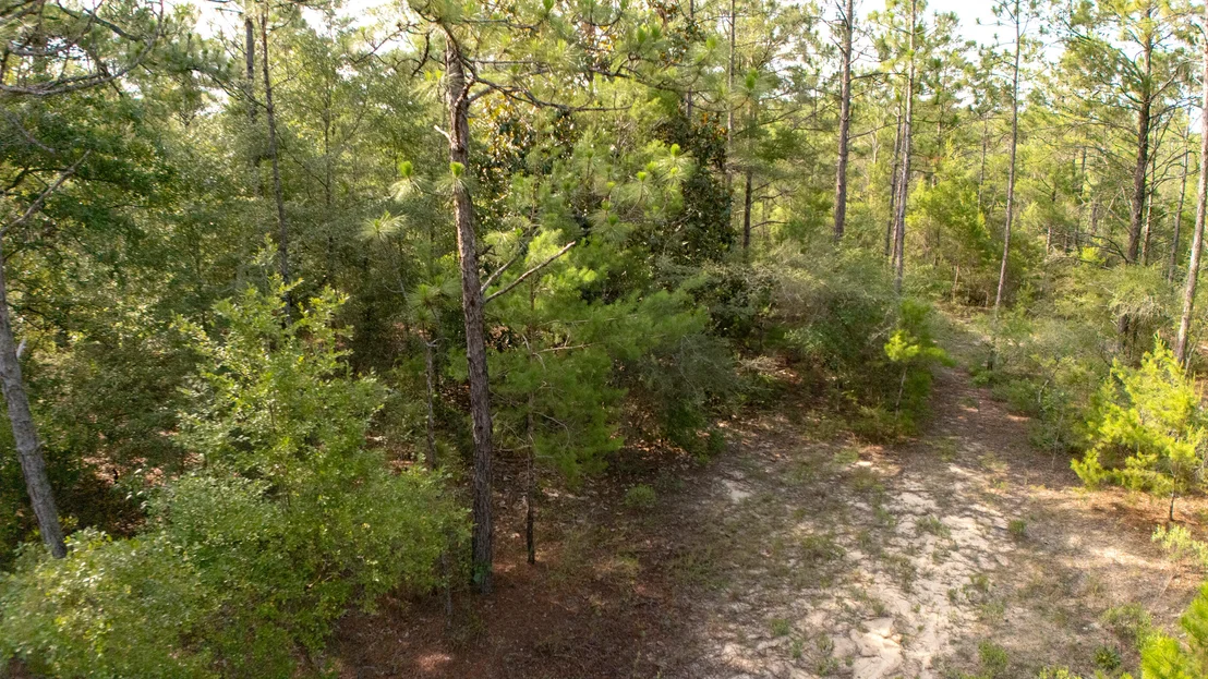 Photo of Lots 7-10 Tarpon Lane