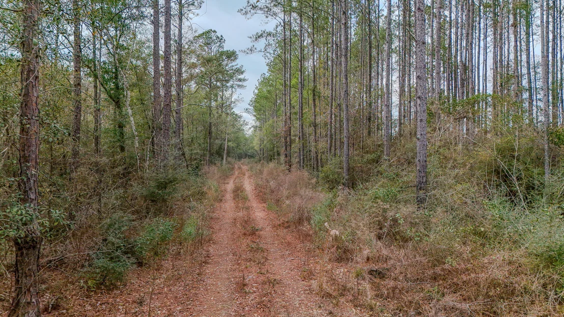 Photo of 4769 DAVIS RD