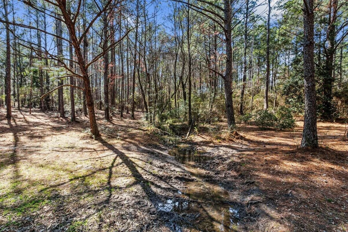 Photo of 1471 Hwy C 180