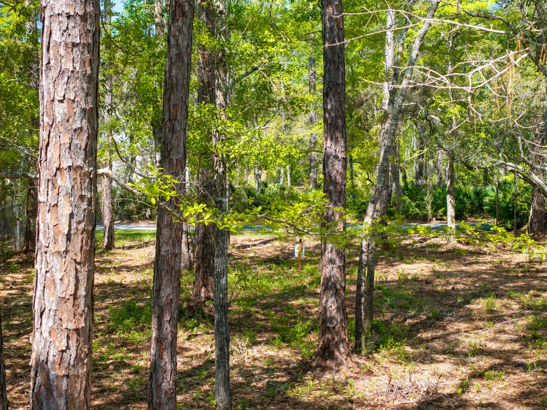 Photo of LOT 23 B Bayside Drive
