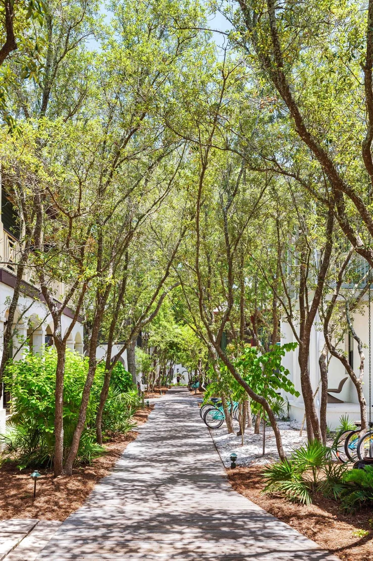 Photo of 77 Wiggle Lane