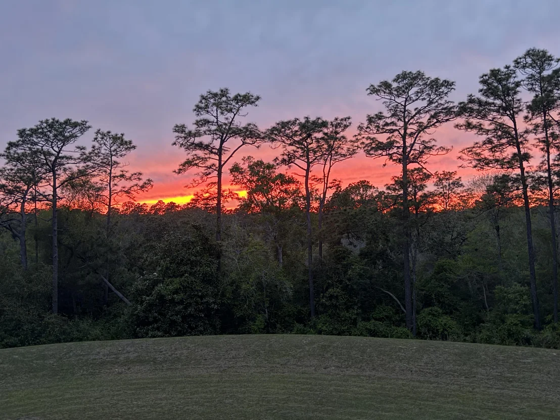 Photo of 1111 Deer Moss Loop