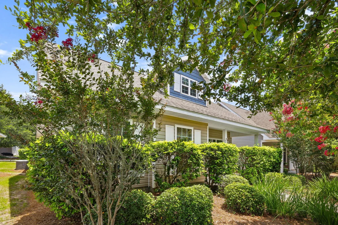 Photo of 253 Nelly Street