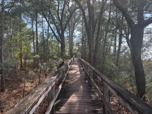 Photo of Lot 76 Harbour Trace
