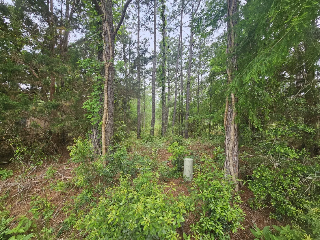 Photo of Lot #2 Dolphin Cove