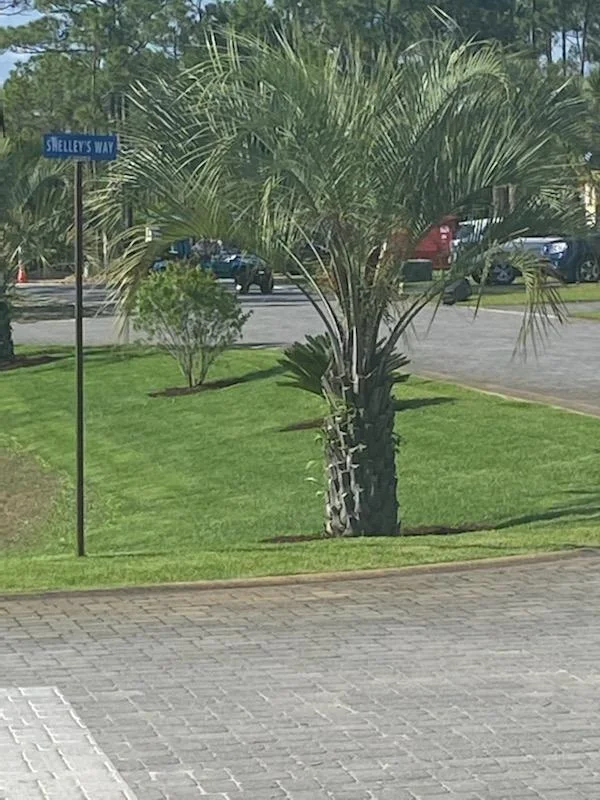 Photo of LOT 28 Shelley's Way