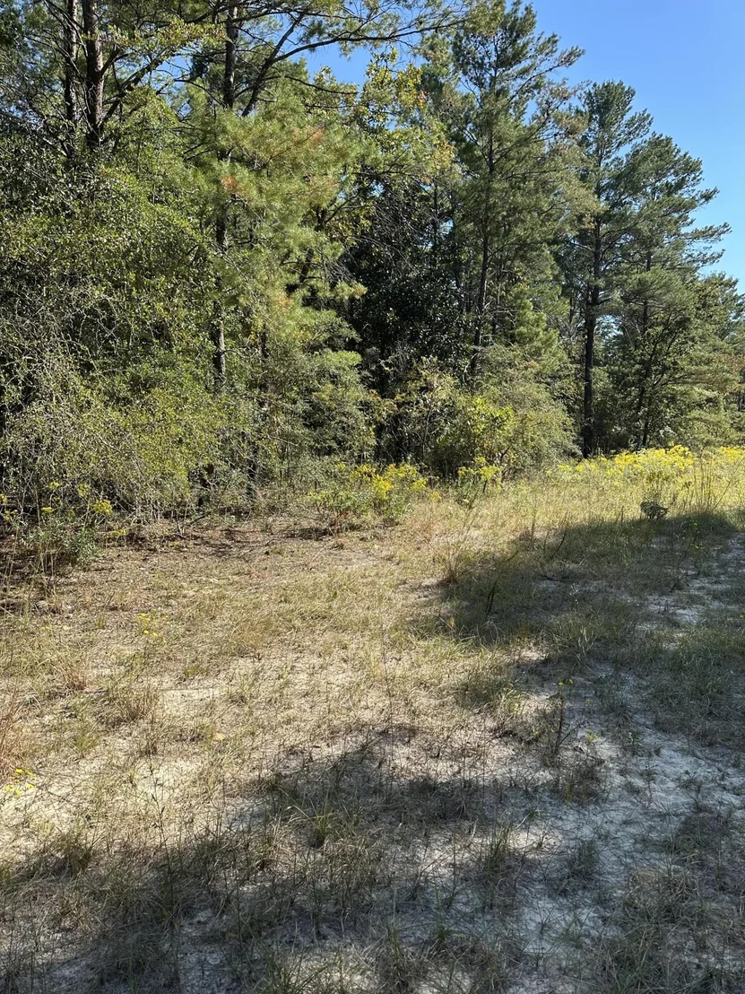 Photo of 134 Post Oak Road