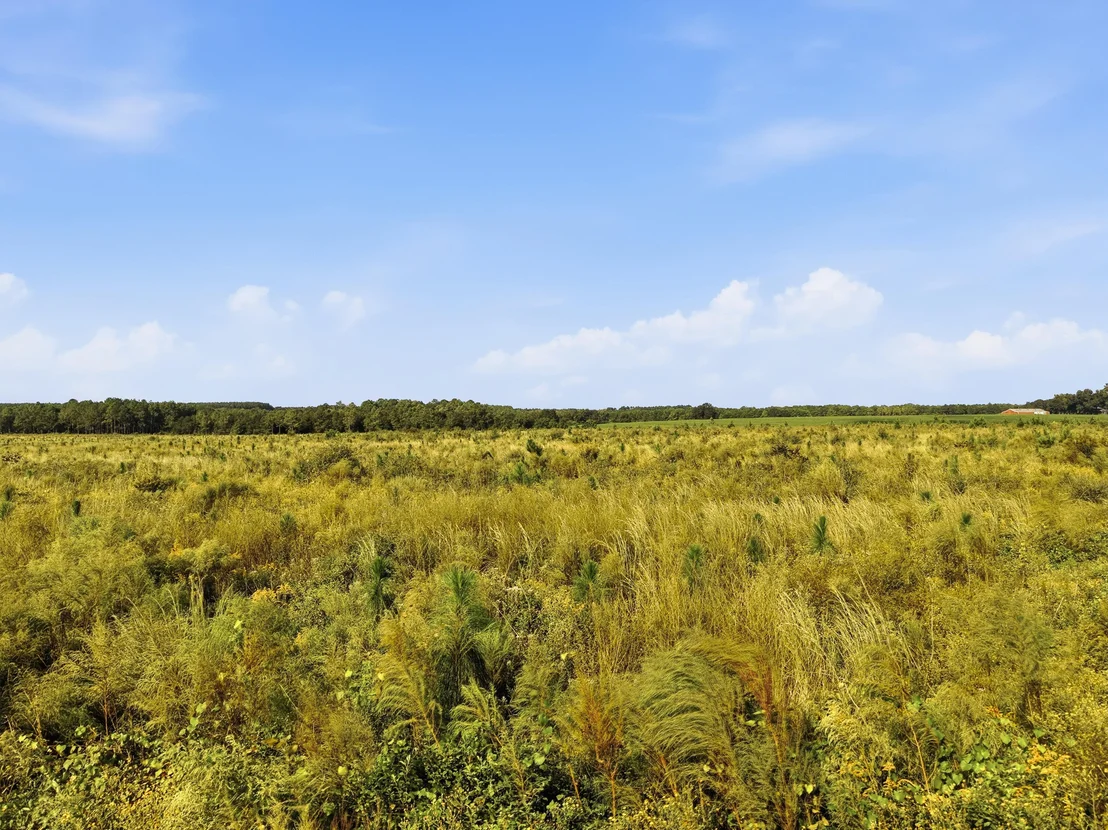 Photo of 10 Acres I Davidson Road