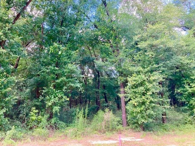Photo of Lot 30 Holly Lake Court
