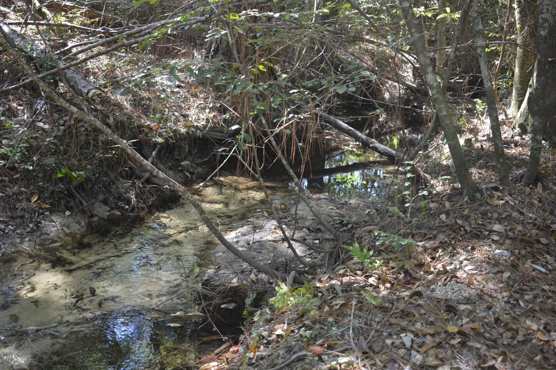 Photo of 2928 Aplin (33 ac.) Road