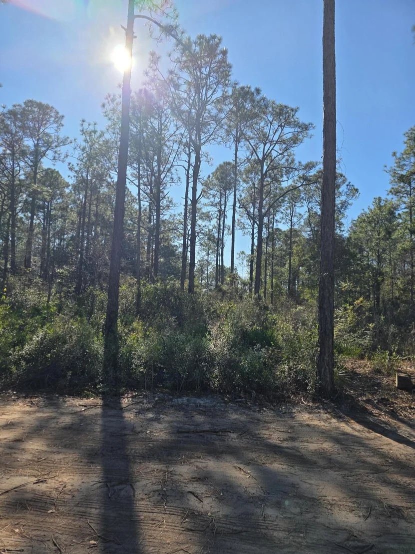 Photo of Lot 25 Quail Park