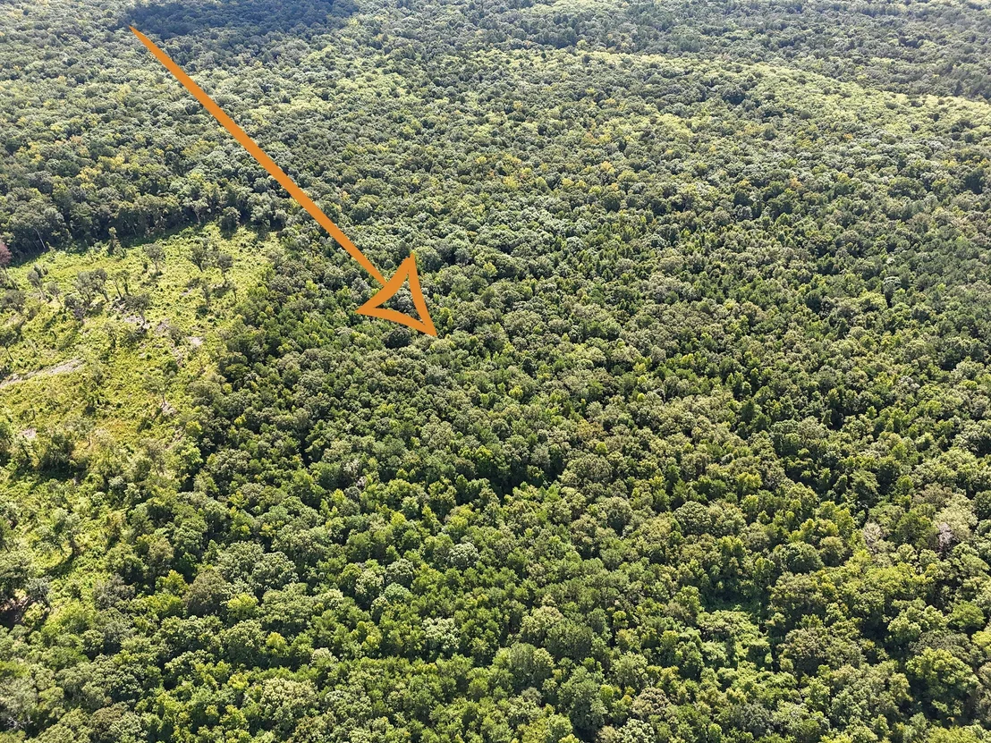 Photo of 40 Acres Mossy Bend Road