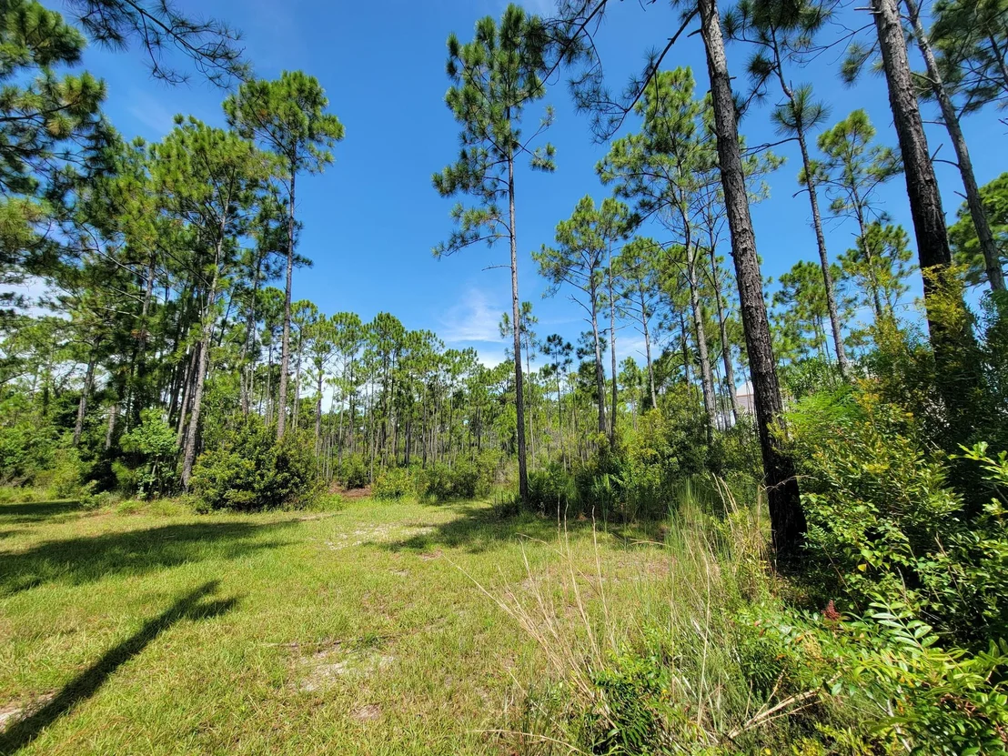 Photo of Lot 8 Delbert Lane