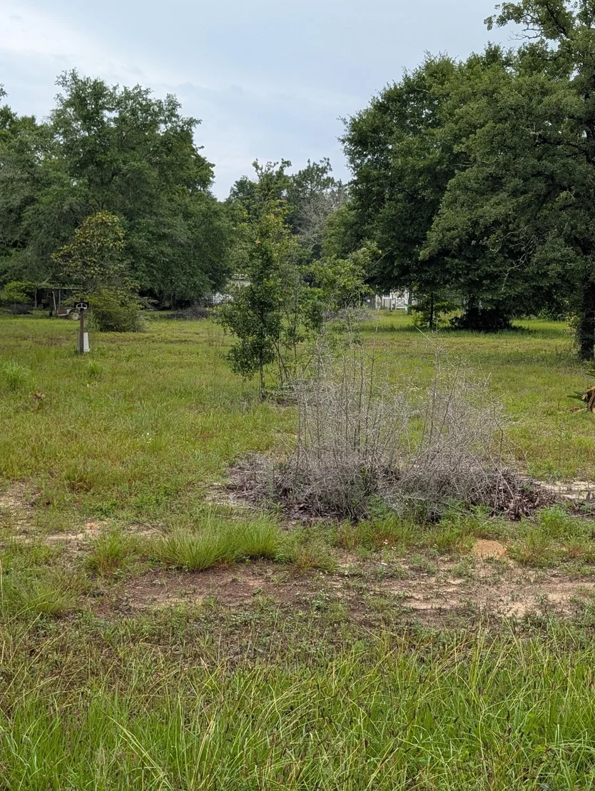 Photo of Lot 21 Co Highway 1087