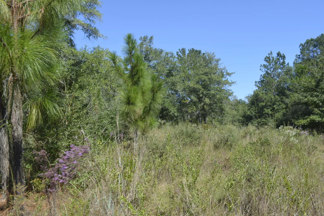 Photo of 2928 Aplin (33 ac.) Road