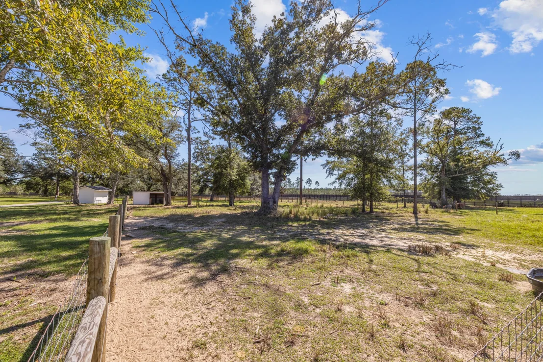 Photo of 13796 FL-81