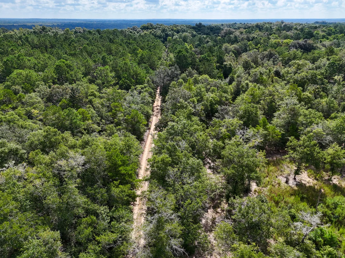Photo of 40 Acres Mossy Bend Road