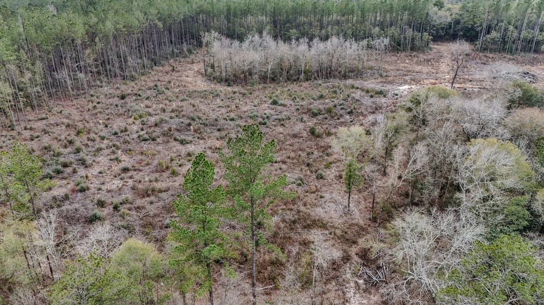 Photo of 4769 DAVIS RD