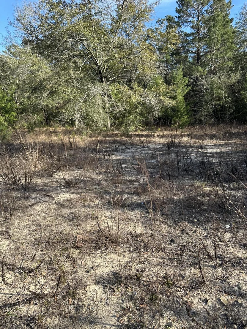 Photo of 5225 Kimp Road