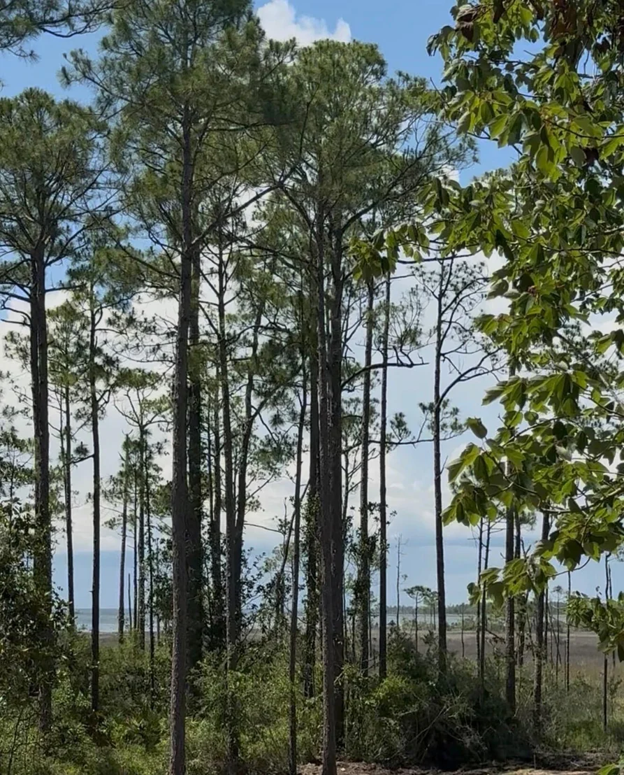 Photo of Lot 9 19th Street