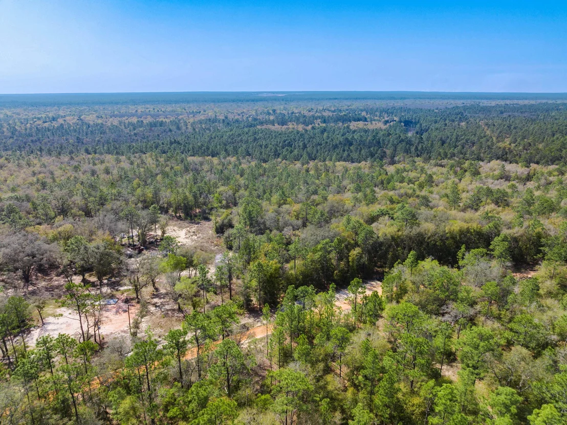 Photo of 4195 Whippoorwill Drive