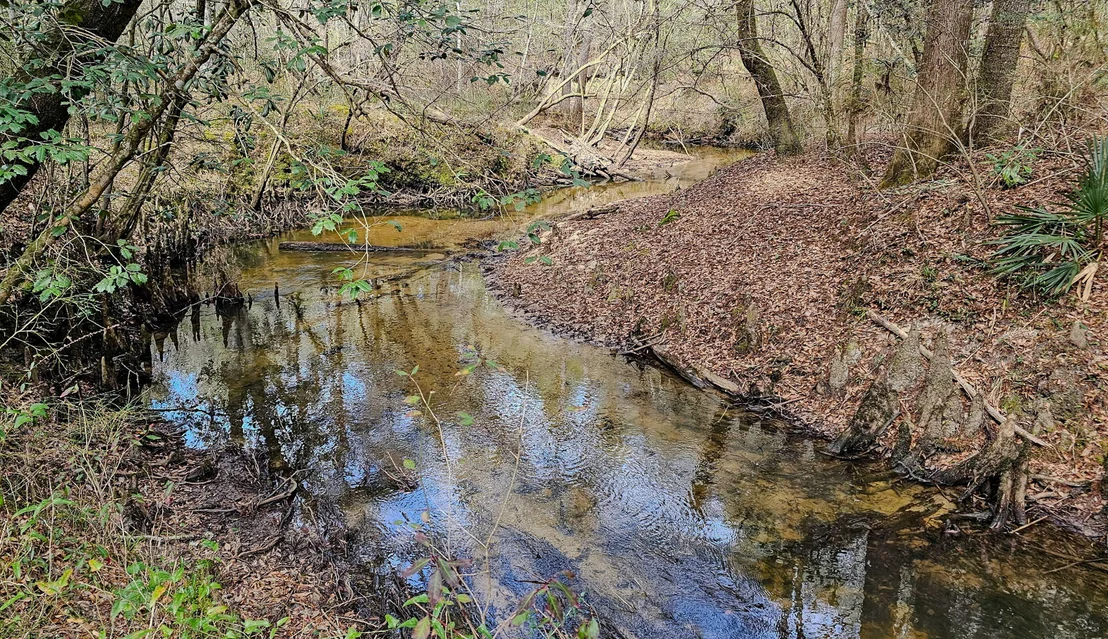 Photo of 4769 DAVIS RD