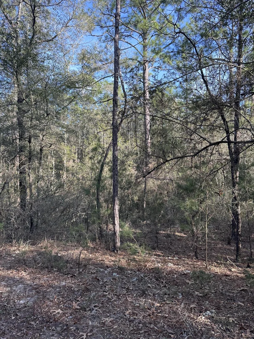 Photo of 5225 Kimp Road