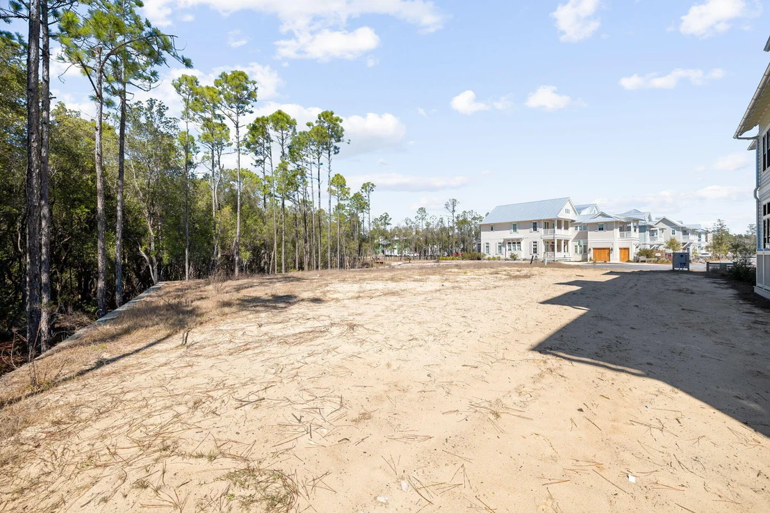 Photo of 72 String Lily Cove