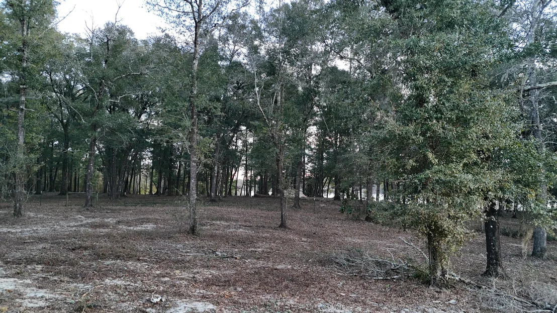 Photo of xxxx St Highway 83