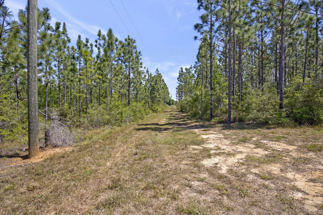 Photo of 3735 Aubrey Lane