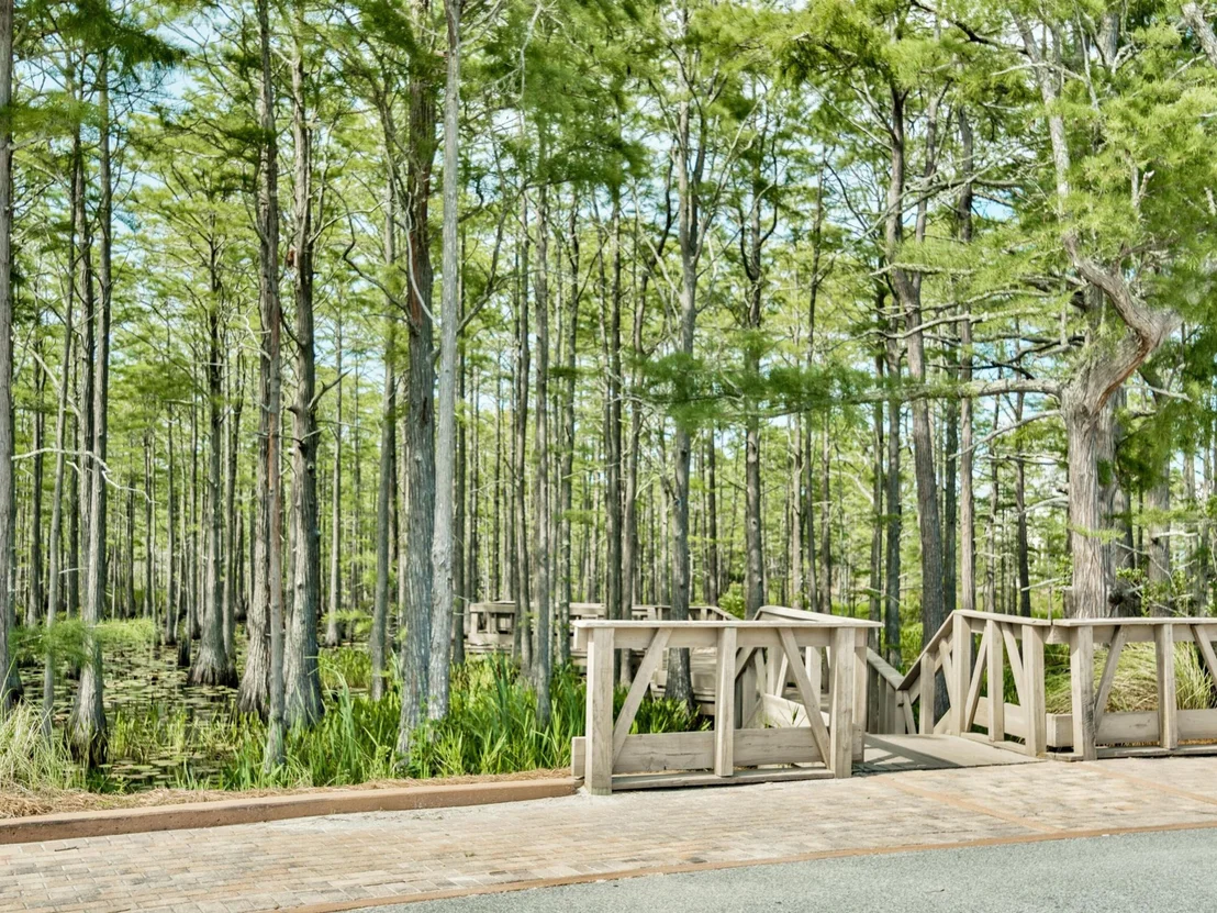 Photo of Lot 6 Cypress Drive