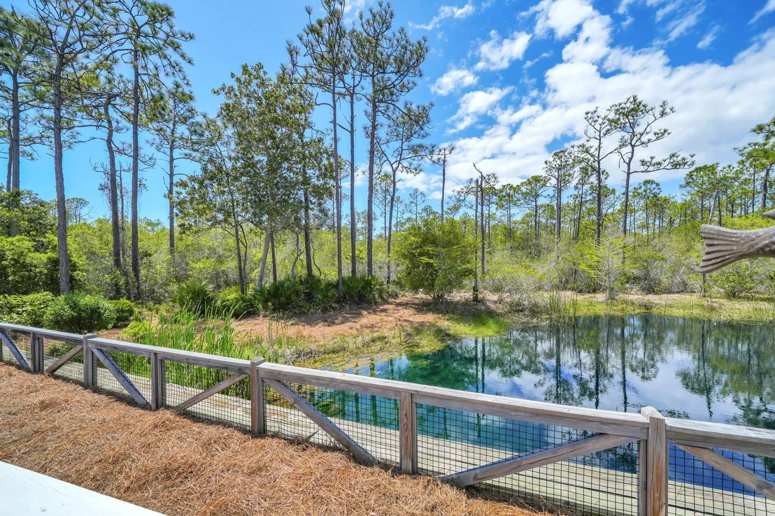 Photo of 305 Flatwoods Forest Loop