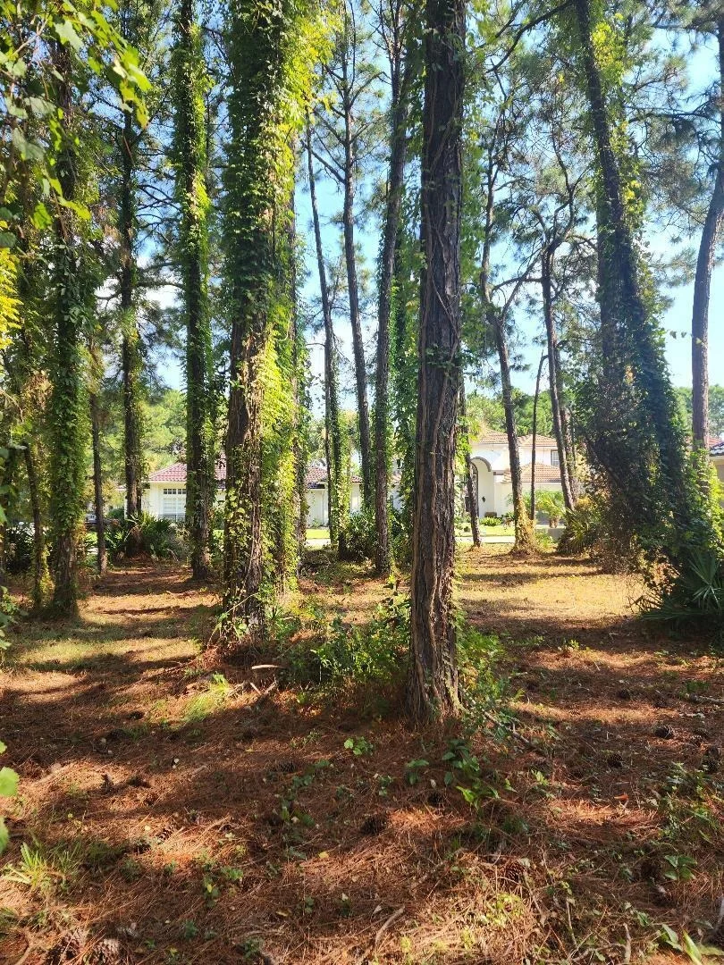Photo of 144 Indigo Loop