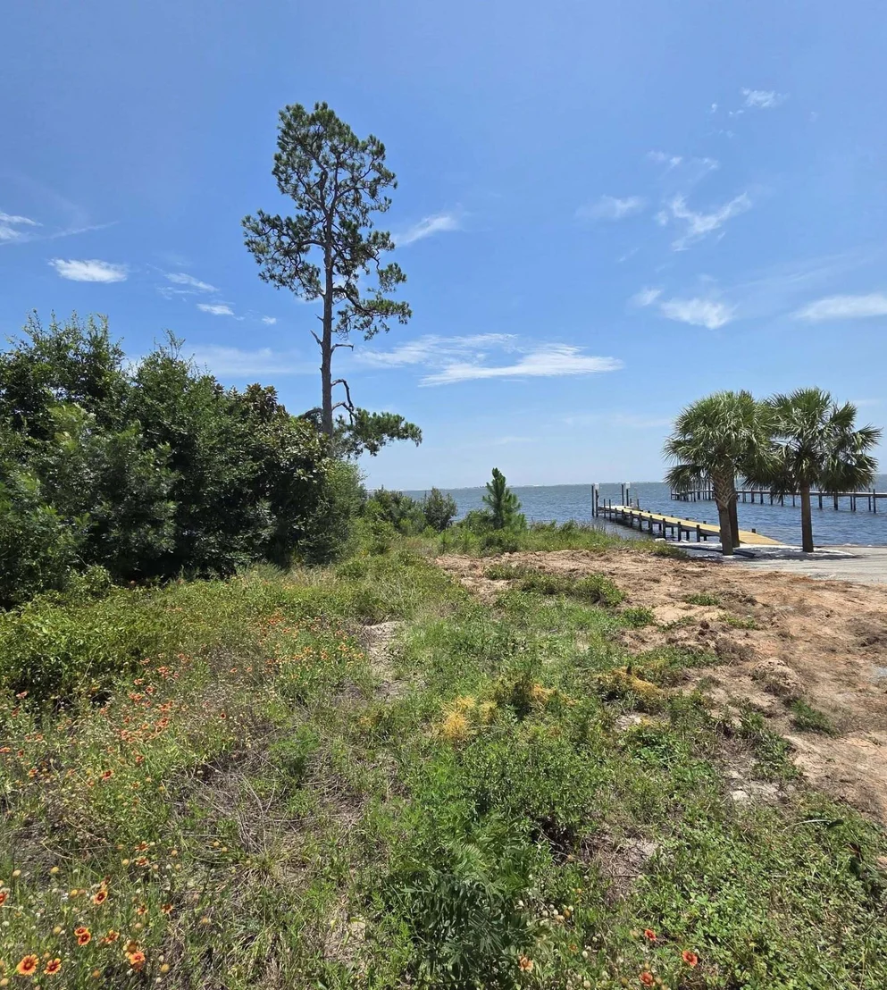 Photo of 1733 Turkey Oak Drive