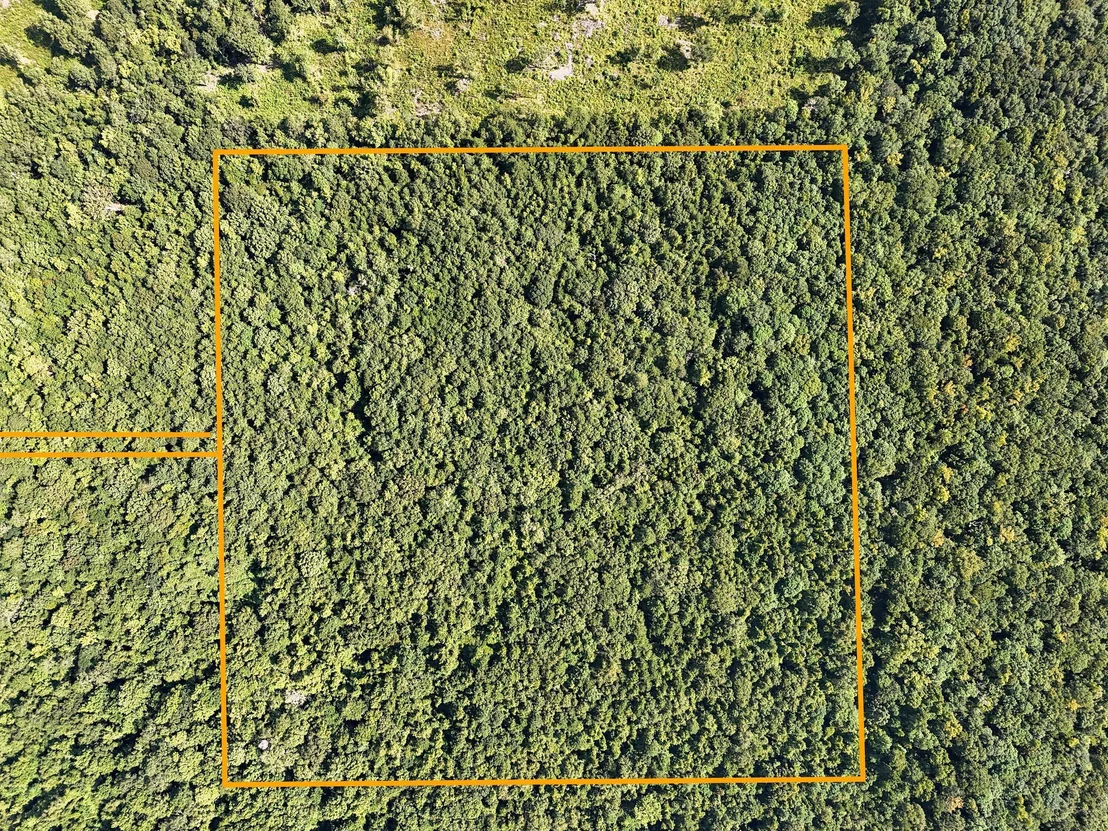 Photo of 40 Acres Mossy Bend Road