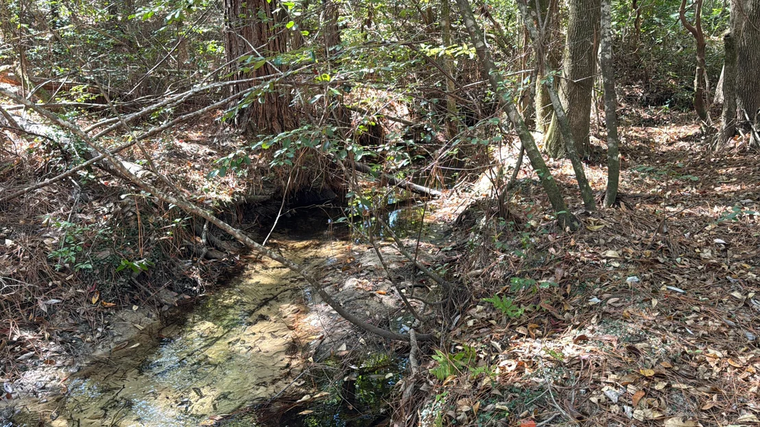 Photo of 2928 Aplin (33 ac.) Road
