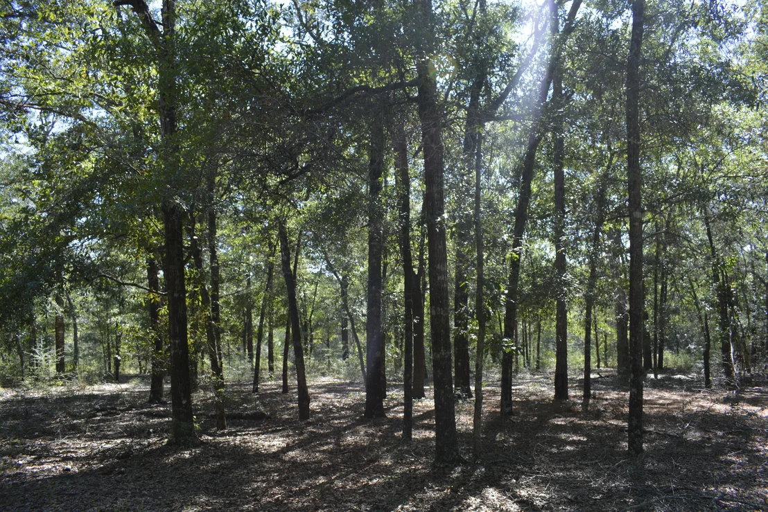 Photo of 2928 Aplin (33 ac.) Road