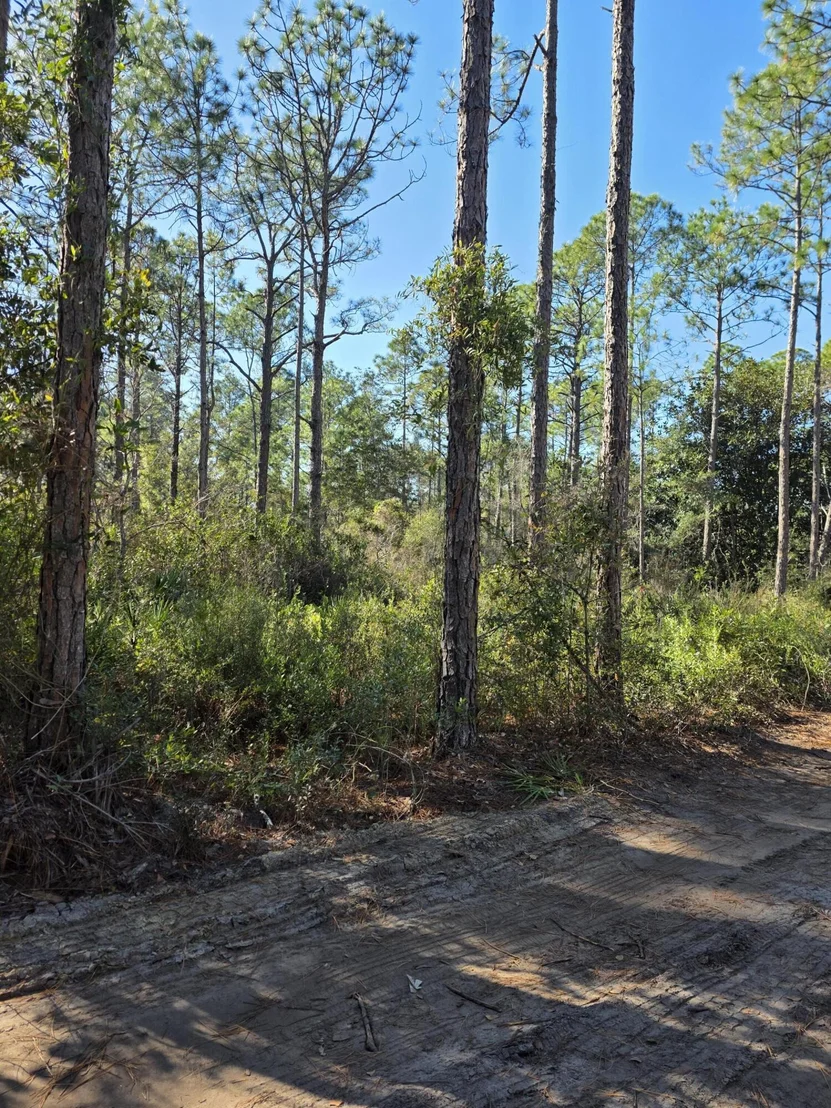 Photo of Lot 25 Quail Park