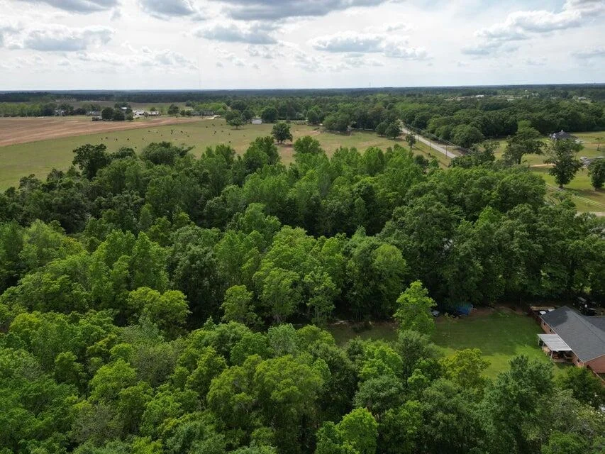 Photo of 2000 Molino Road