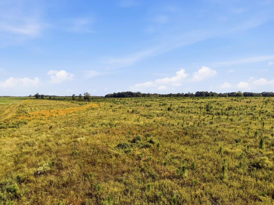 Photo of 10 Acres I Davidson Road